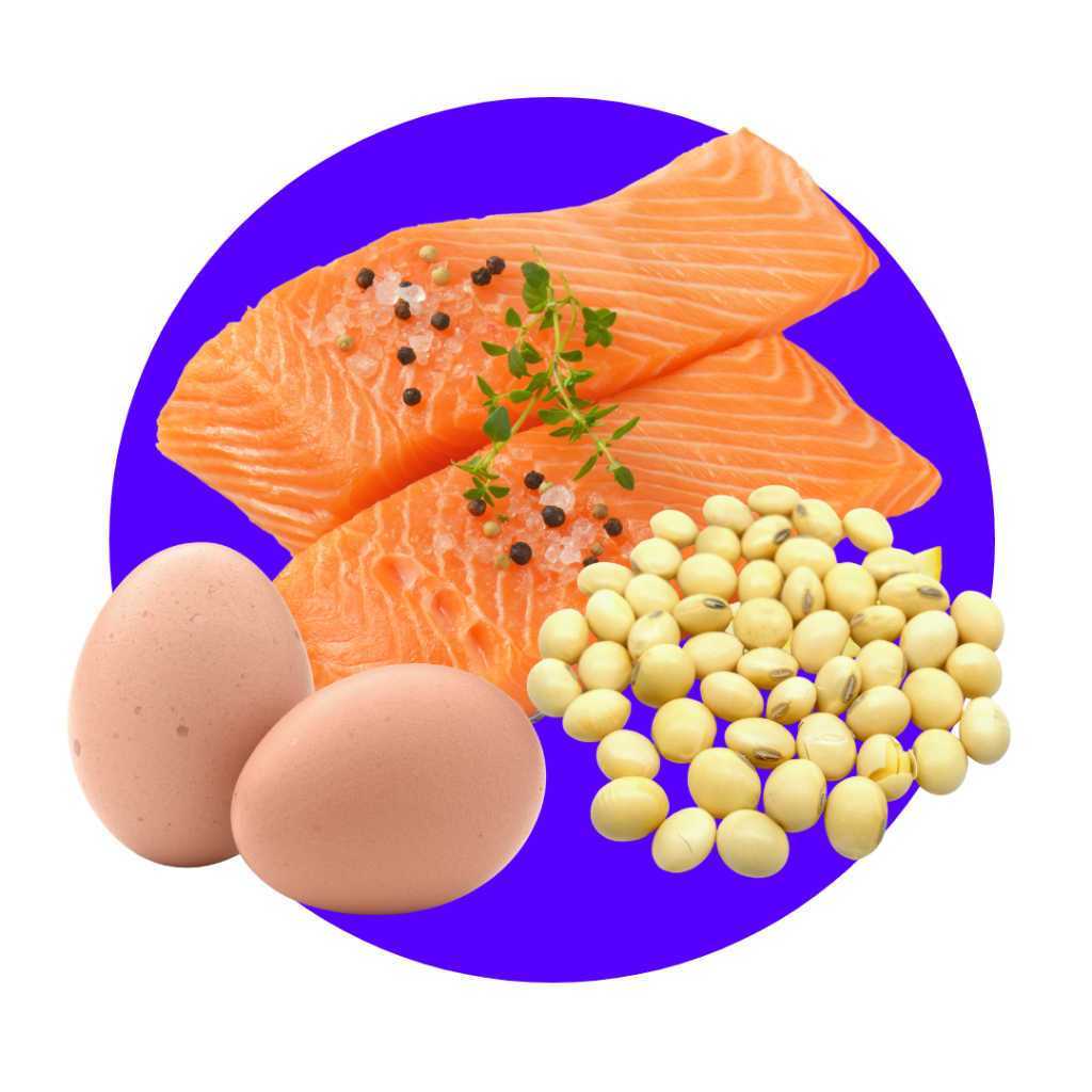 High-Quality Protein